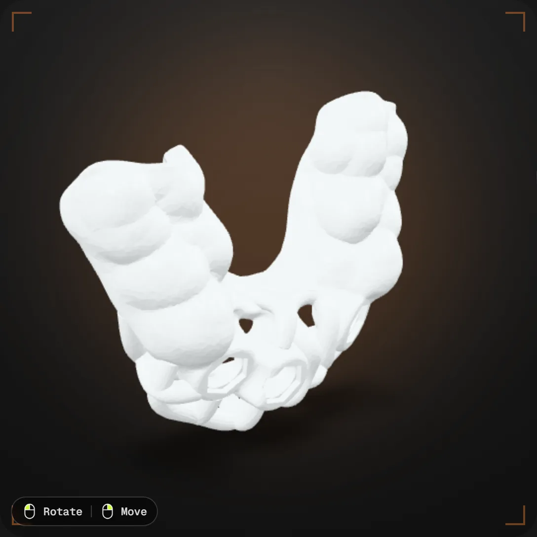 Interactive 3D dental model