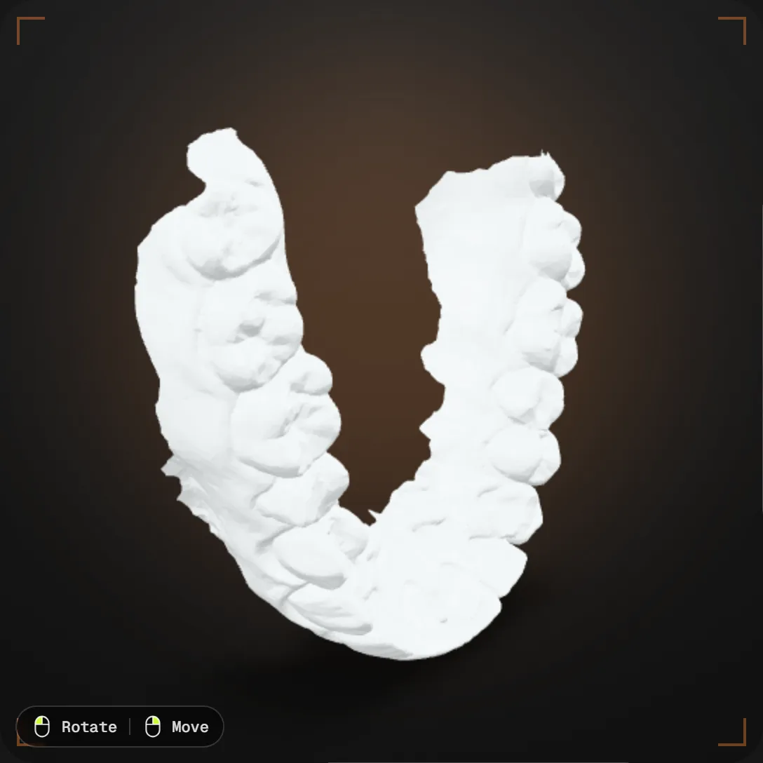 Interactive 3D dental model